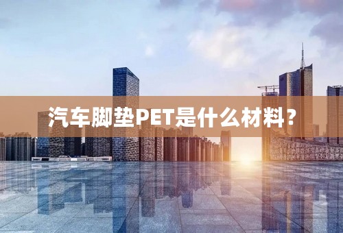 汽车脚垫PET是什么材料？