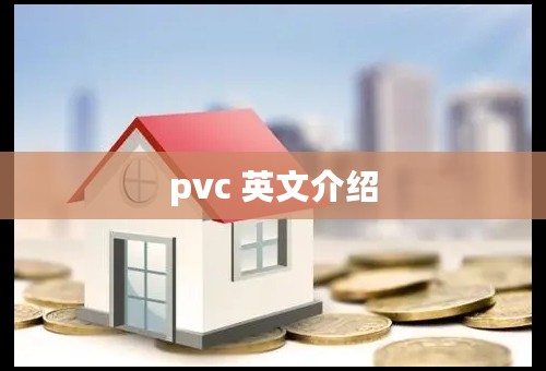 pvc 英文介绍