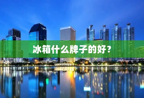 冰箱什么牌子的好？