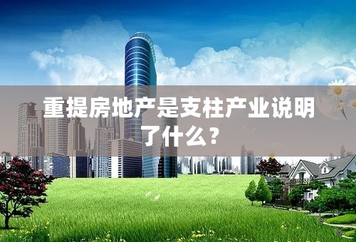 重提房地产是支柱产业说明了什么？