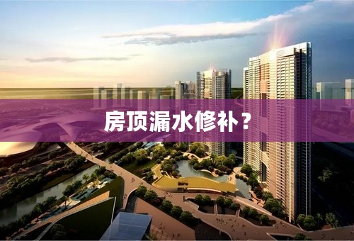 房顶漏水修补？