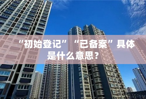 “初始登记”“已备案”具体是什么意思？