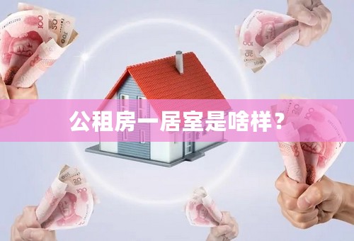 公租房一居室是啥样？