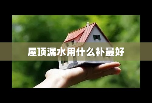 屋顶漏水用什么补最好