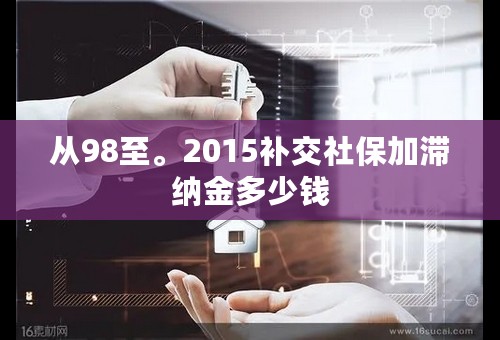 从98至。2015补交社保加滞纳金多少钱