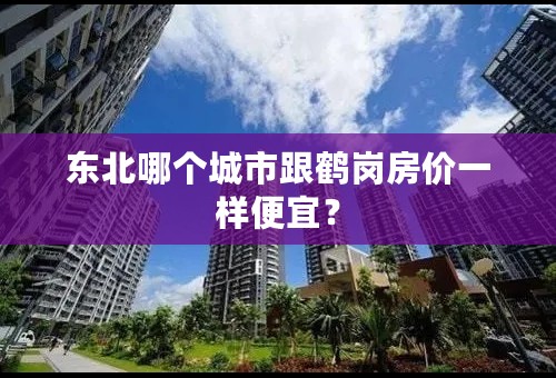 东北哪个城市跟鹤岗房价一样便宜？