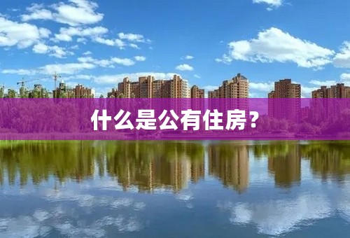 什么是公有住房？