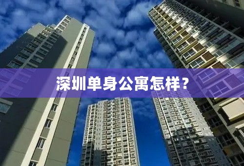 深圳单身公寓怎样？