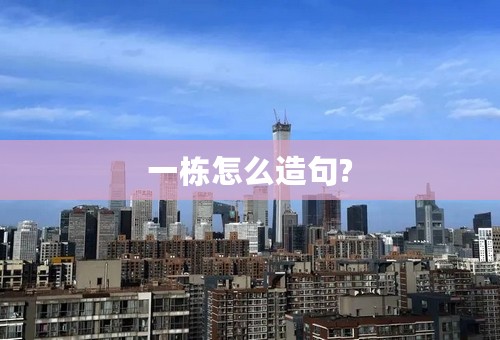 一栋怎么造句?