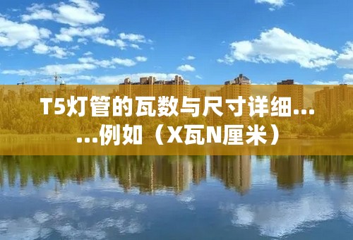 T5灯管的瓦数与尺寸详细……例如（X瓦N厘米）