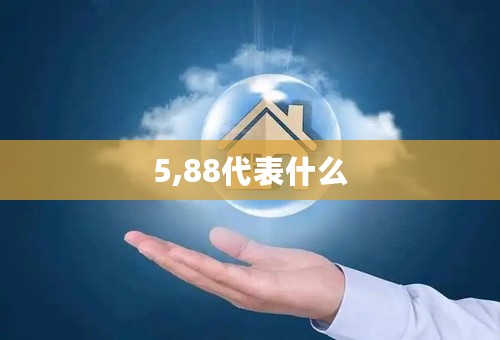 5,88代表什么