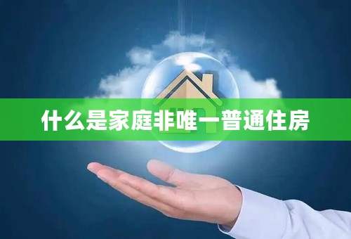 什么是家庭非唯一普通住房