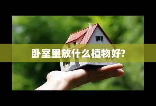 卧室里放什么植物好?