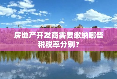 房地产开发商需要缴纳哪些税税率分别？