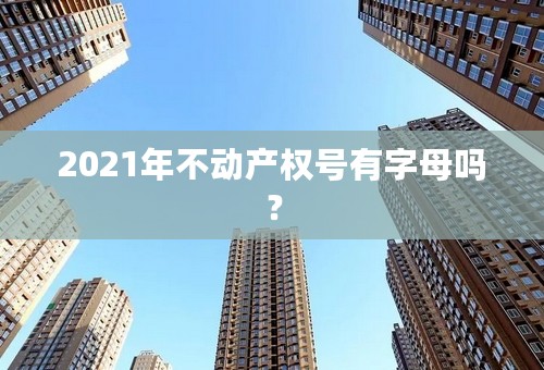 2021年不动产权号有字母吗？