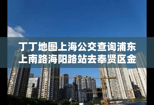 丁丁地图上海公交查询浦东上南路海阳路站去奉贤区金汇鎮天和前滩时代新楼盘如何坐买