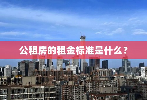 公租房的租金标准是什么？