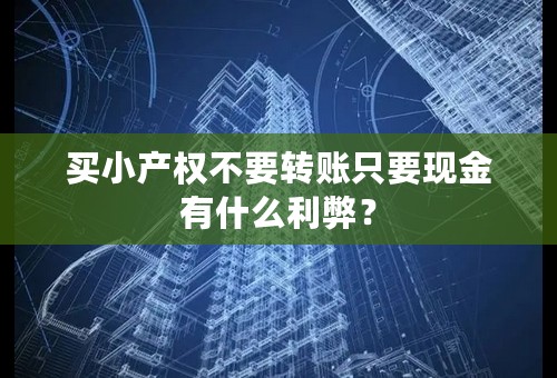 买小产权不要转账只要现金有什么利弊？