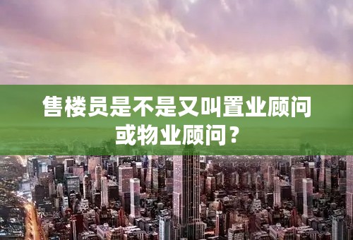 售楼员是不是又叫置业顾问或物业顾问？