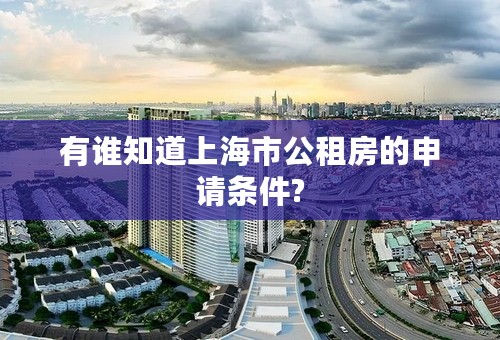 有谁知道上海市公租房的申请条件?