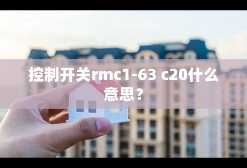 控制开关rmc1-63 c20什么意思？