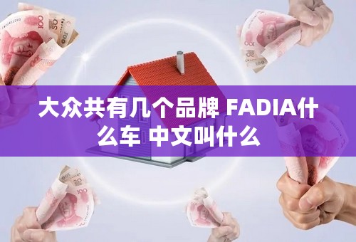 大众共有几个品牌 FADIA什么车 中文叫什么