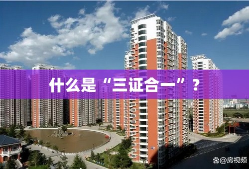 什么是“三证合一”？