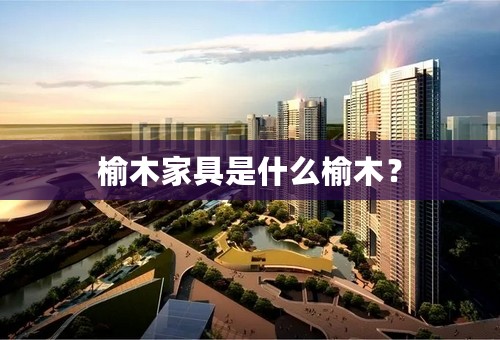 榆木家具是什么榆木？