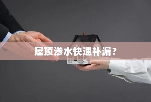 屋顶渗水快速补漏？