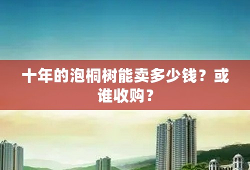 十年的泡桐树能卖多少钱？或谁收购？