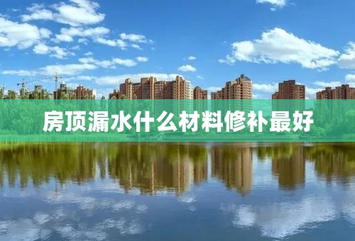 房顶漏水什么材料修补最好