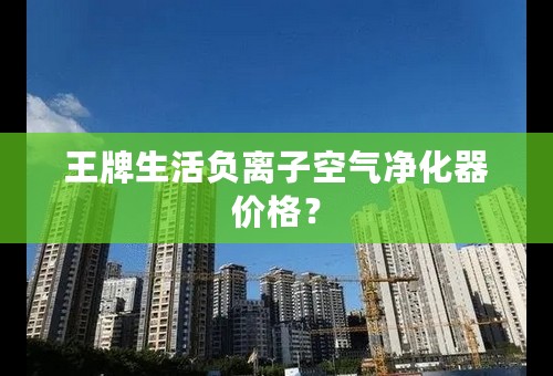 王牌生活负离子空气净化器价格？