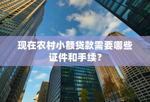 现在农村小额贷款需要哪些证件和手续？