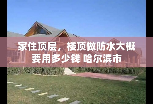 家住顶层，楼顶做防水大概要用多少钱 哈尔滨市