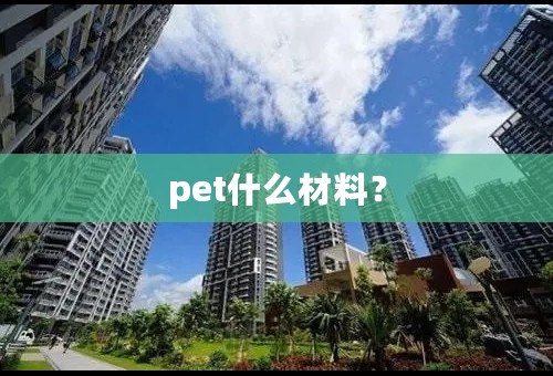 pet什么材料？