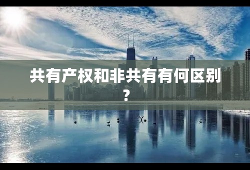 共有产权和非共有有何区别？