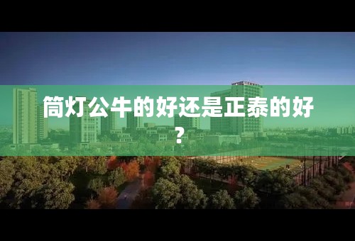 筒灯公牛的好还是正泰的好？