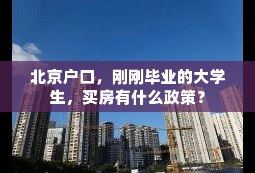 北京户口，刚刚毕业的大学生，买房有什么政策？