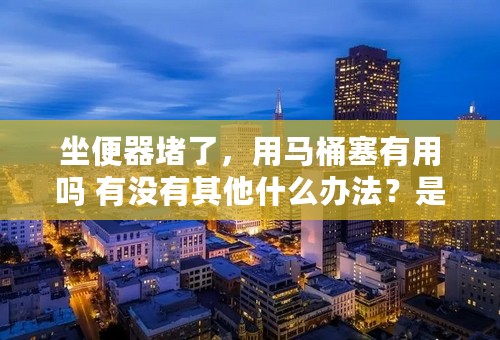 坐便器堵了，用马桶塞有用吗 有没有其他什么办法？是鱼骨头卡住了？