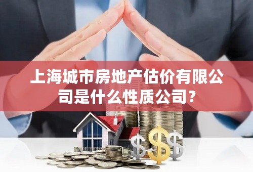 上海城市房地产估价有限公司是什么性质公司？