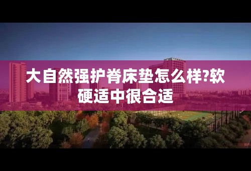 大自然强护脊床垫怎么样?软硬适中很合适