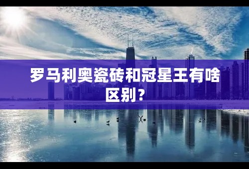 罗马利奥瓷砖和冠星王有啥区别？