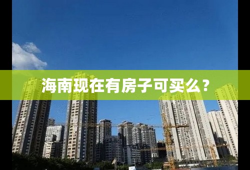 海南现在有房子可买么？