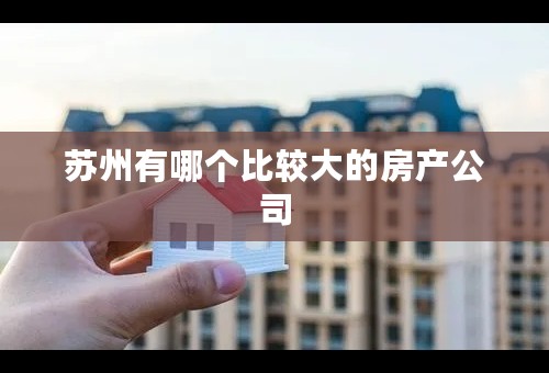 苏州有哪个比较大的房产公司