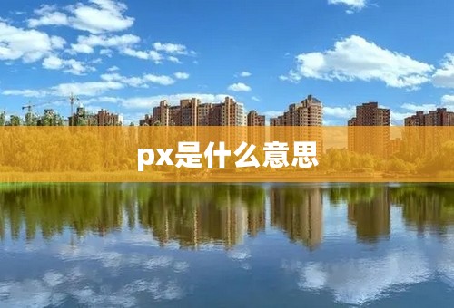 px是什么意思