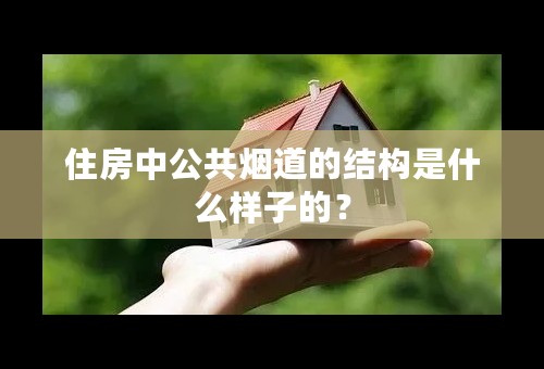 住房中公共烟道的结构是什么样子的？