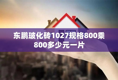 东鹏玻化砖1027规格800乘800多少元一片