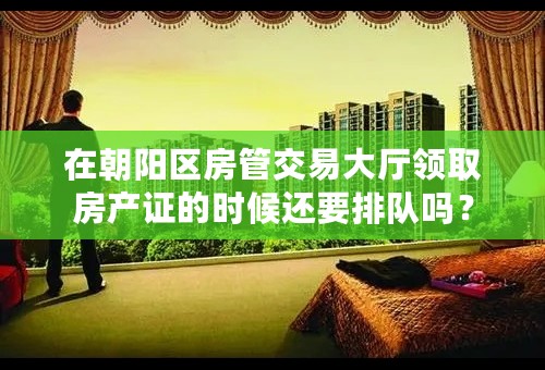 在朝阳区房管交易大厅领取房产证的时候还要排队吗？