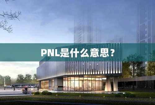 PNL是什么意思？