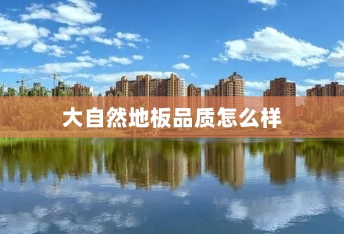 大自然地板品质怎么样